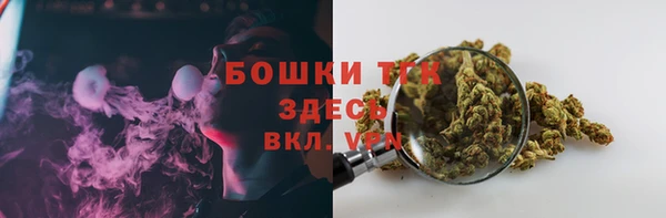 PSILOCYBIN Вязьма