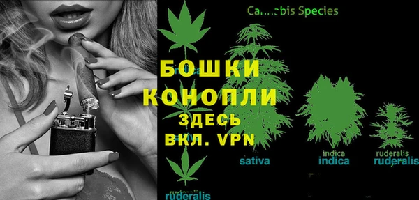 прущий лед Вязники