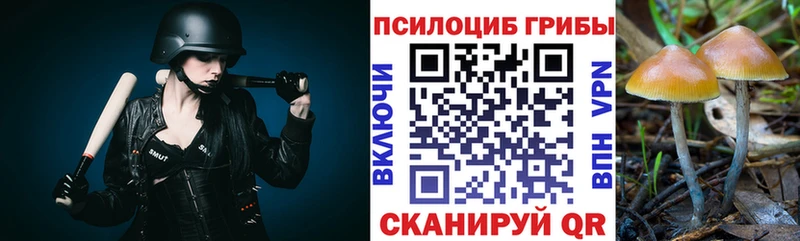 Галлюциногенные грибы Psilocybine cubensis  Купить где  Райчихинск 